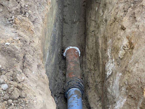 Best Sewage cleanup and water damage restoration  in Clare, MI